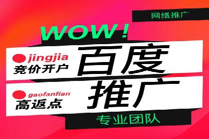 某行业领先企业背后的百度推广代理商策略